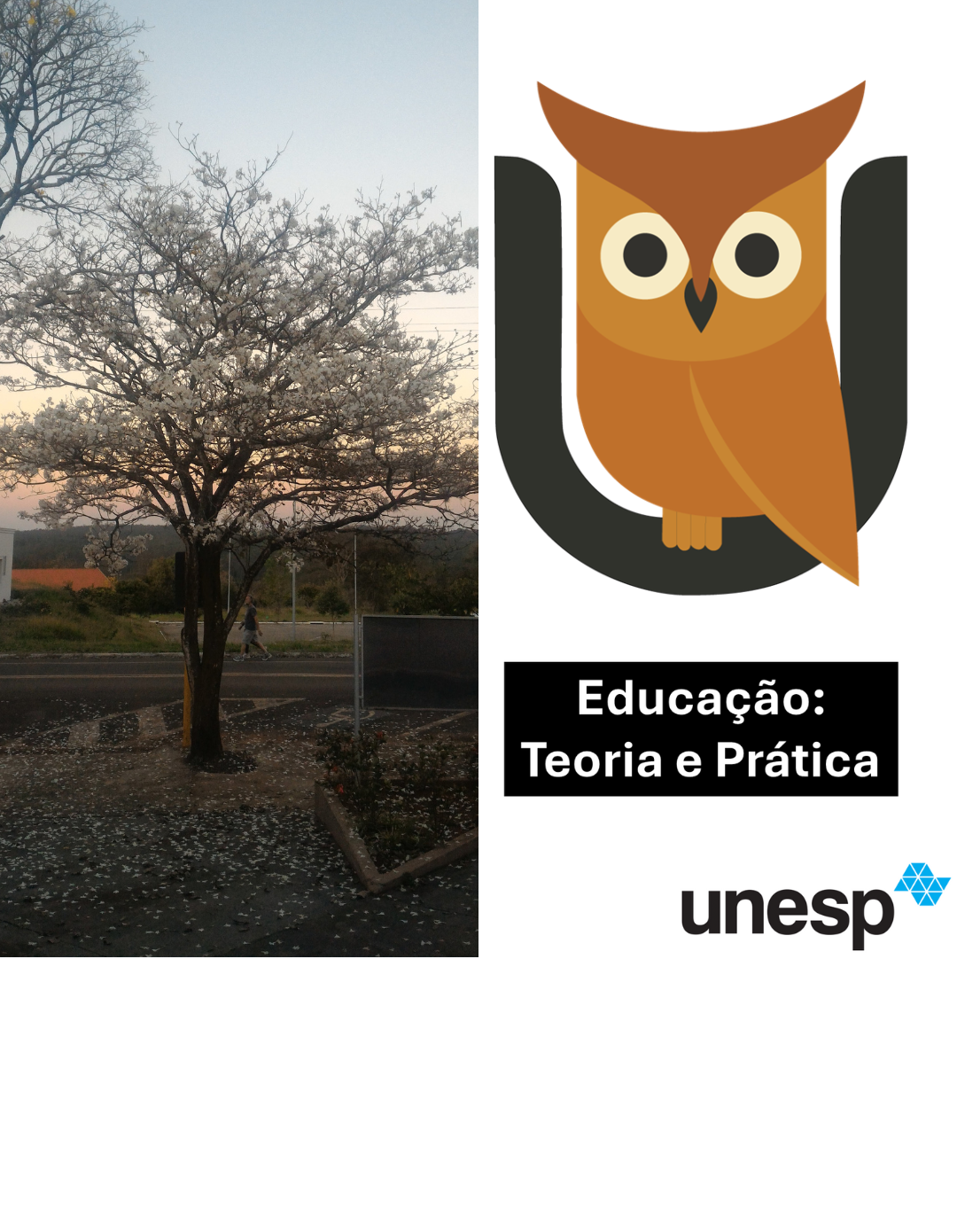 Paciente virtual para treinamento por simulação: levantamento sobre o ensino em cursos de graduação em Saúde